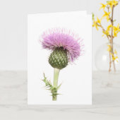Distel Karte (Gelbe Blume)