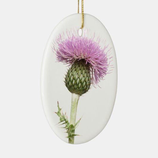 Distel Keramikornament (Rechts)