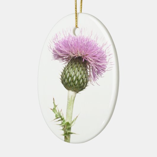 Distel Keramikornament (Links)