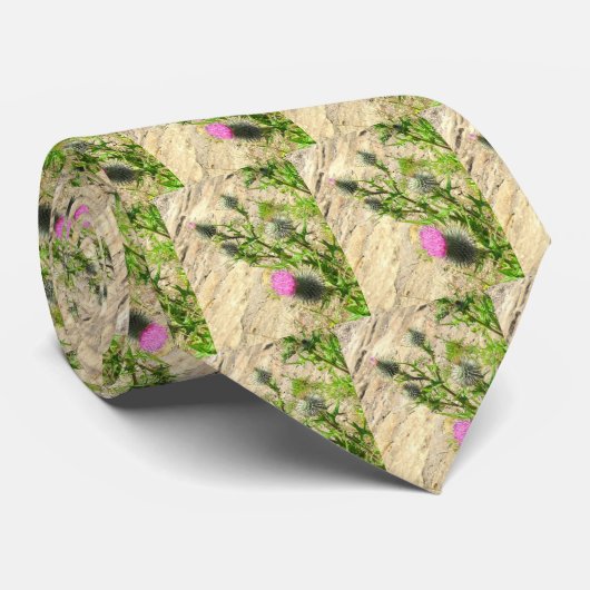 Distel-Krawatte Krawatte (Gerollt)