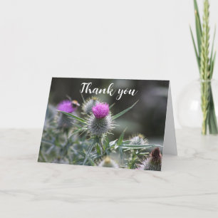 Distel Lila Schottische Blumen Hochzeit Danke