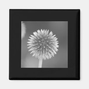 Distel-Magnet Magnet