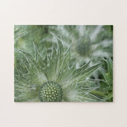 Distel-Puzzlespiel Puzzle (Horizontal)