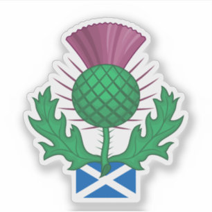Distel Schottland Aufkleber