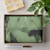Distelblätter Seidenpapier (Geschenk)
