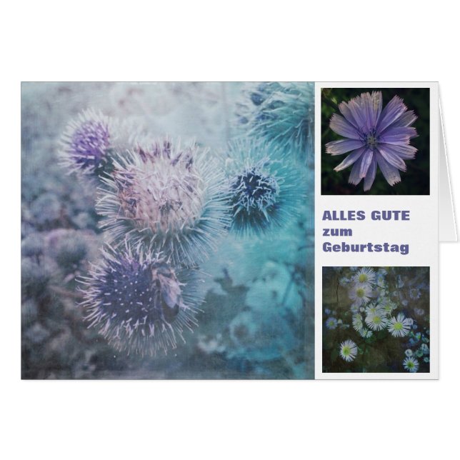 Distelblüten (Vorderseite (Horizontal))