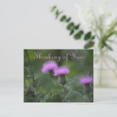 Distelblüten In Gedanken an Sie Postkarte (Stehend Vorderseite)