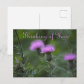 Distelblüten In Gedanken an Sie Postkarte (Vorne/Hinten)