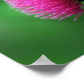 Distelblüten Poster (Ecke)