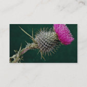 DistelhauptBlumen Visitenkarte (Rückseite)