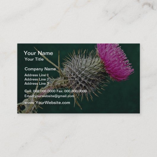 DistelhauptBlumen Visitenkarte (Vorderseite)