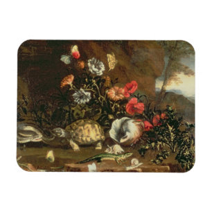 Disteln, Blumen, Reptilien und Schmetterlinge dazu Magnet