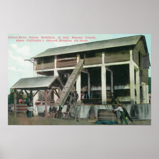 Distillerie für italienische und schweizerische Ko Poster (Vorne)