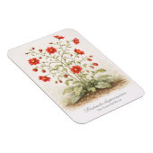 Distracta dispersissima - The Scattered Bloom Magnet (Rechte Seite)