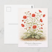 Distracta dispersissima - The Scattered Bloom Postkarte (Vorne/Hinten)