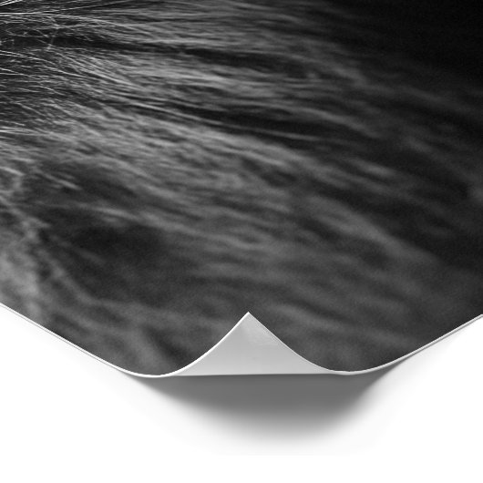 Disziplin ist Freiheit extrem Nah hoch Löwenkopf Poster (Ecke)