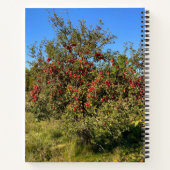 Ditch Apples Notebook Notizblock (Rückseite)