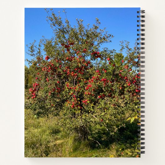 Ditch Apples Notebook Notizblock (Rückseite)