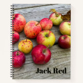 Ditch Apples Notebook Notizblock (Vorderseite)