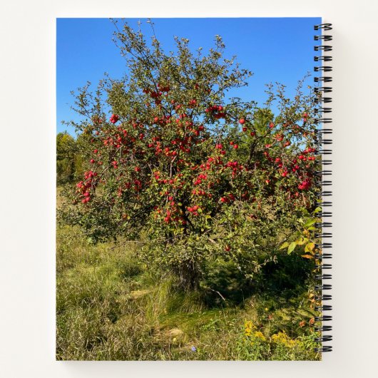 Ditch Apples Notizblock (Rückseite)