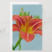 Ditch Lily Briefpapier (Vorne/Hinten)