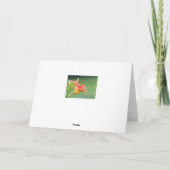 Ditch Lily Karte (Rückseite)