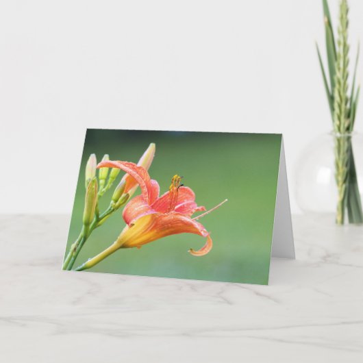 Ditch Lily Karte (Vorderseite)