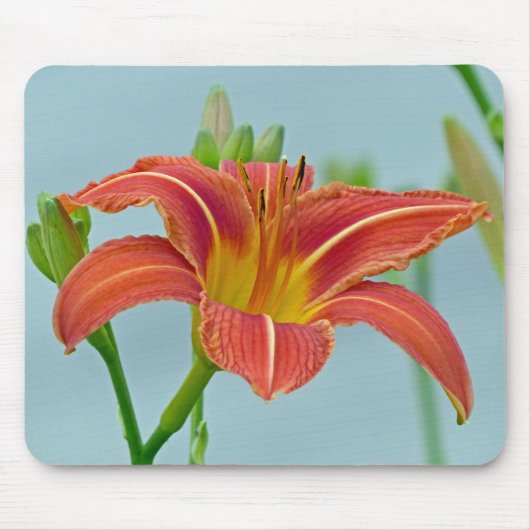Ditch Lily Mousepad (Vorne)