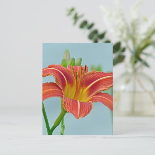 Ditch Lily Postkarte (Stehend Vorderseite)