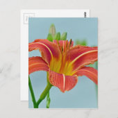 Ditch Lily Postkarte (Vorne/Hinten)