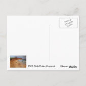 Ditch Plains Montauk Postkarte (Rückseite)