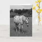 Dito Karte (Gelbe Blume)