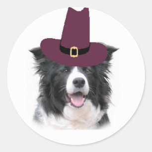 Ditzy Dogs~Border Collie Sticker~Erntedank Runder Aufkleber