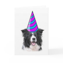 Ditzy Dogs~Greeting Card~Border Collie Birthday