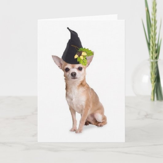 Ditzy Dogs~Original Greetomg Card~Chihuahua Karte (Vorderseite)