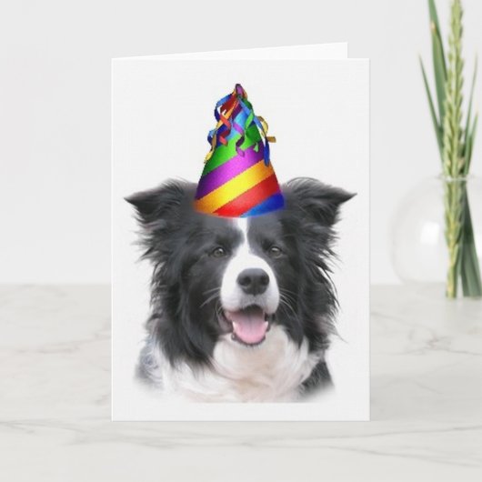 Ditzy Dogs~Original Notecard~Border Collie~B'day Karte (Vorderseite)