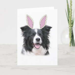 Ditzy Dogs~Original Notecard~Border Collie~Easter Feiertagskarte