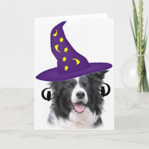 Ditzy Dogs Original Notecard - Border Collie Karte