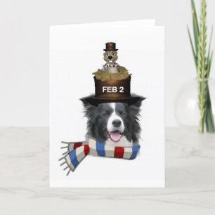 Ditzy Dogs~Original Notecard~Border Collie Karte