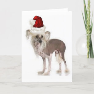 Ditzy Dogs~Original Notecard~Chinese Crested Karte