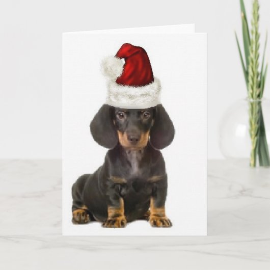 Ditzy Dogs~Original Notecard~Dackel Karte (Vorderseite)