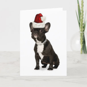 Ditzy Dogs~Original Notecard~French Bulldogge Feiertagskarte