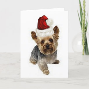Ditzy Dogs~Original Notecard~Yorkie~Christmas Feiertagskarte