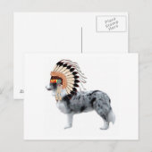 Ditzy Dogs~Original Postcard~Border Collie Postkarte (Vorne/Hinten)