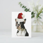 Ditzy Dogs~Original Postcard~Boston Terrier Postkarte (Stehend Vorderseite)
