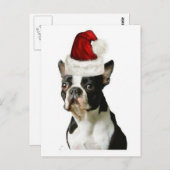 Ditzy Dogs~Original Postcard~Boston Terrier Postkarte (Vorne/Hinten)