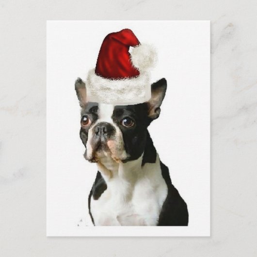 Ditzy Dogs~Original Postcard~Boston Terrier Postkarte (Vorderseite)