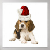 Ditzy Dogs~Original Poster~Beagle~Christmas Poster (Vorne)