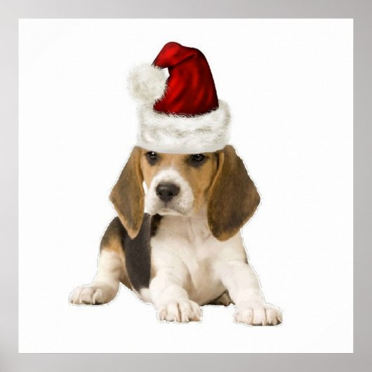Ditzy Dogs~Original Poster~Beagle~Christmas Poster (Vorne)