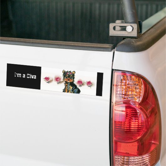 Diva-Autoaufkleber Autoaufkleber (Auf Lkw)